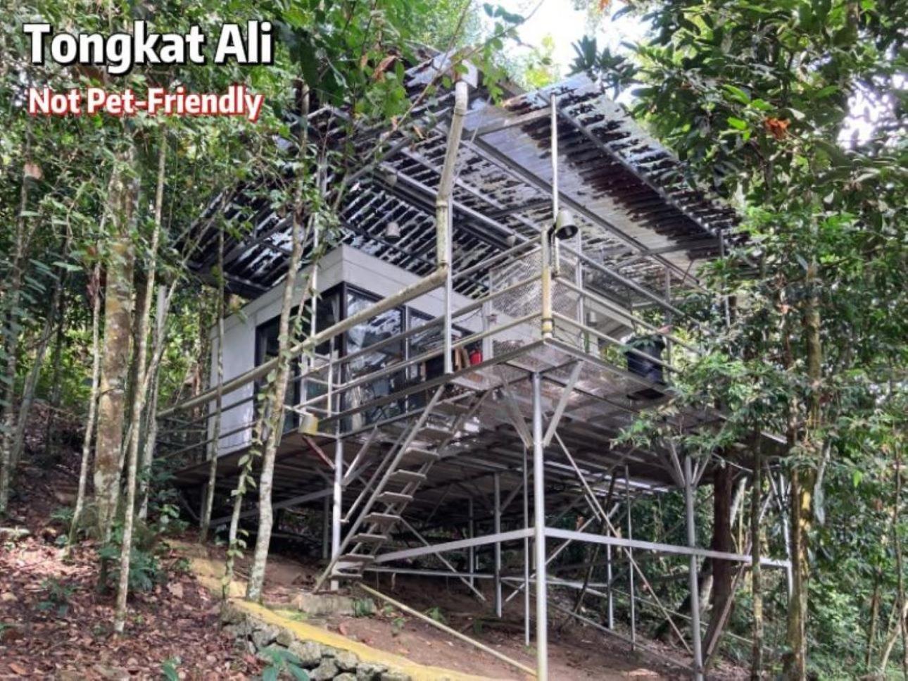 Gibbon Retreat Bentong Hotel Exterior foto
