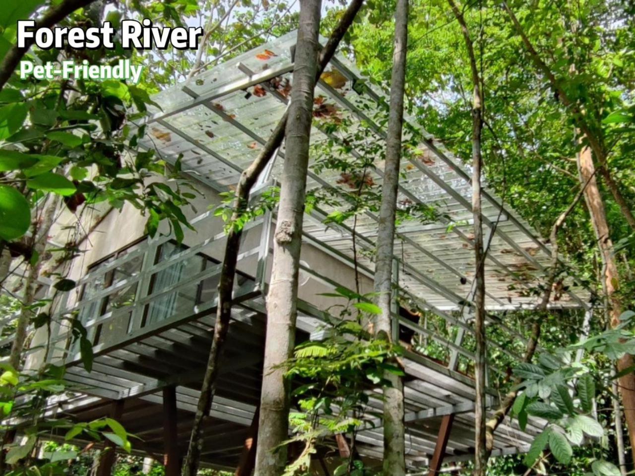 Gibbon Retreat Bentong Hotel Exterior foto